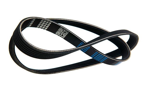STELLOX 96-01018-SX V-ribbed Belt