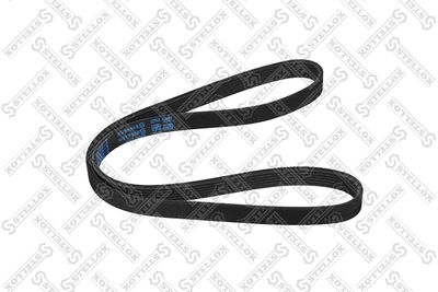 V-ribbed Belt STELLOX 96-01095-SX