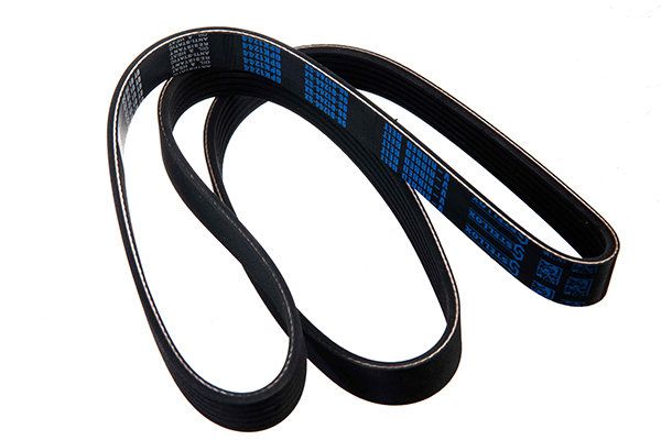 STELLOX 96-01244-SX V-ribbed Belt