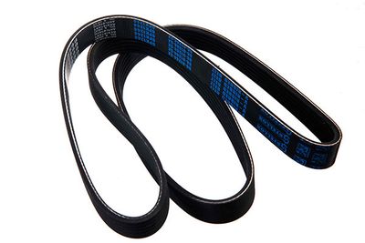 V-ribbed Belt STELLOX 96-01244-SX