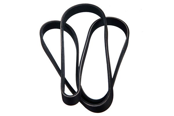 STELLOX 96-01683-SX V-ribbed Belt