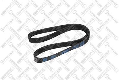 V-ribbed Belt STELLOX 97-01104-SX