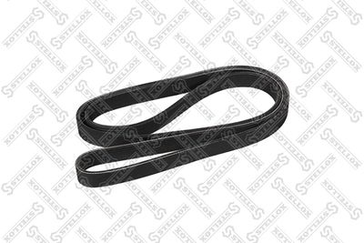 V-Ribbed Belt STELLOX 97-01784-SX