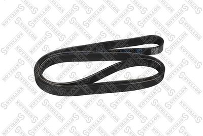 V-ribbed Belt STELLOX 97-01970-SX