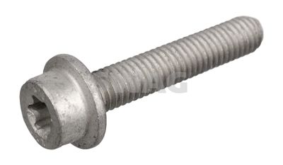 Screw Plug, transmission housing SWAG 10 94 6395