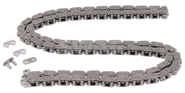 SWAG 33 10 1261 Timing Chain