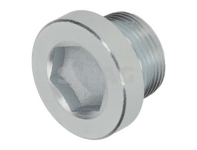 Screw Plug, automatic transmission casing SWAG 33 10 8297