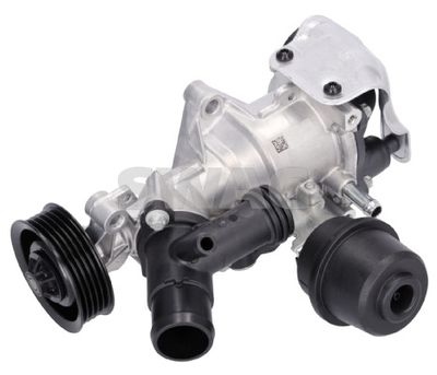 Water Pump, engine cooling SWAG 33 10 9770