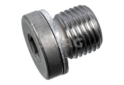 Screw Plug, transmission housing SWAG 33 10 1976