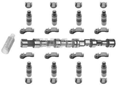 Camshaft Kit SWAG 40 91 8813