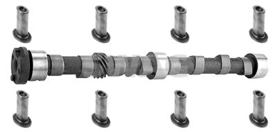 Camshaft Kit SWAG 50 91 9678