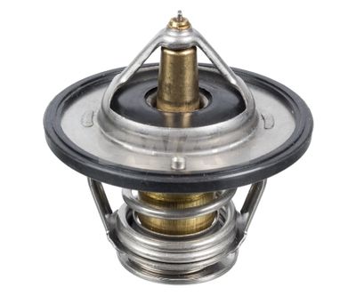 Thermostat, coolant SWAG 85 93 3457
