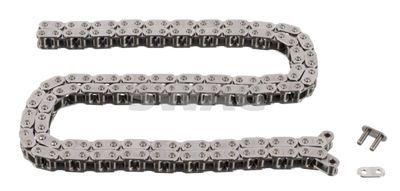 Timing Chain SWAG 99 13 8194