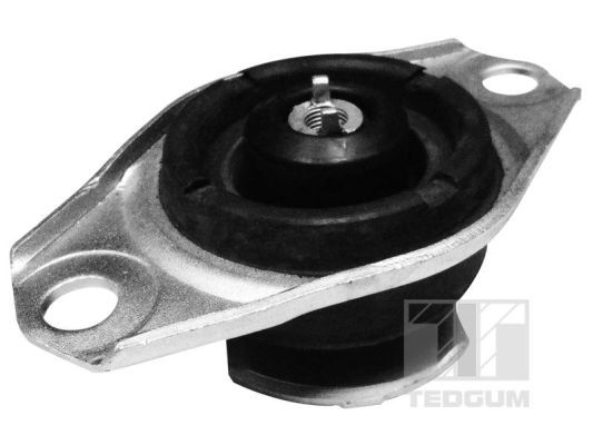 TEDGUM 00025995 Mounting, engine