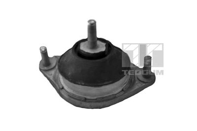 Mounting, engine TEDGUM 00050296