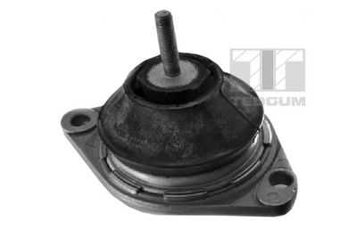 Mounting, engine TEDGUM 00050297