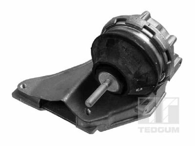 Mounting, engine TEDGUM 00055597