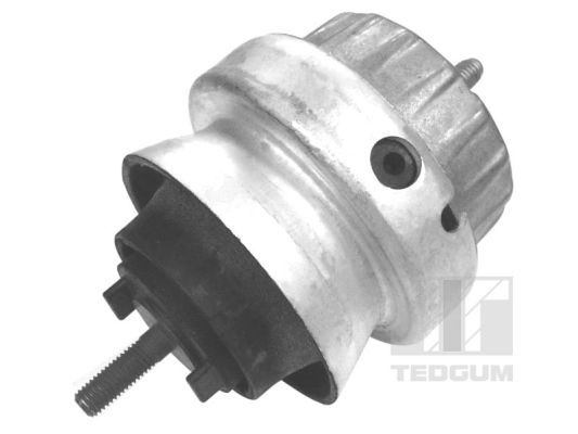TEDGUM 00056444 Mounting, engine