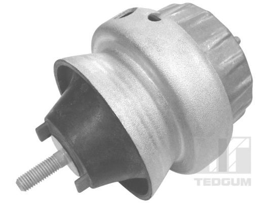 TEDGUM 00056451 Mounting, engine