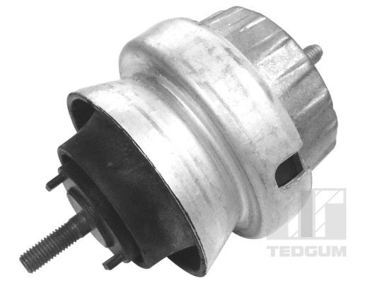 TEDGUM 00056452 Mounting, engine