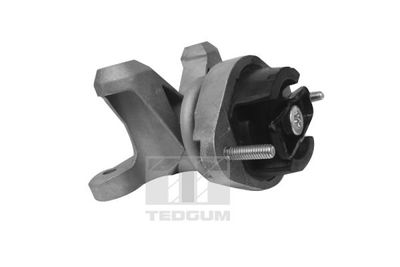 Mounting, engine TEDGUM 00058910
