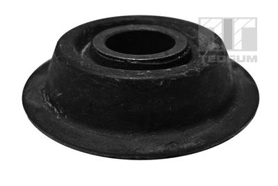 Mounting, control/trailing arm TEDGUM 00059432