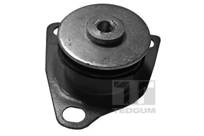 Bushing, axle beam TEDGUM 00059503