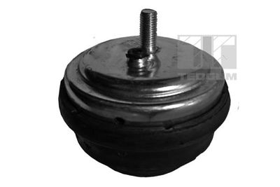 Mounting, engine TEDGUM 00080395