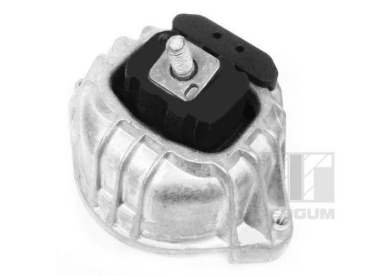 TEDGUM 00088417 Mounting, engine