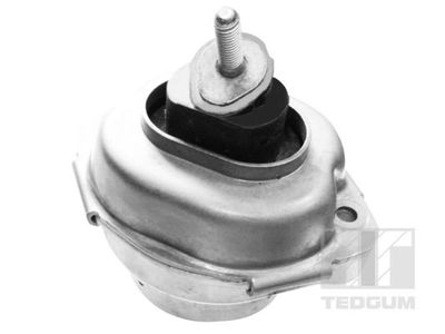 Mounting, engine TEDGUM 00088466
