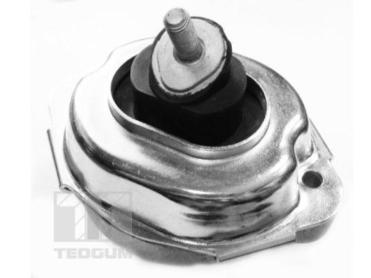 TEDGUM 00088534 Mounting, engine