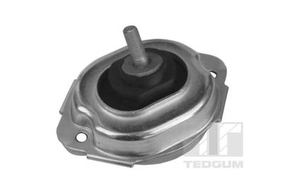 Mounting, engine TEDGUM 00088547