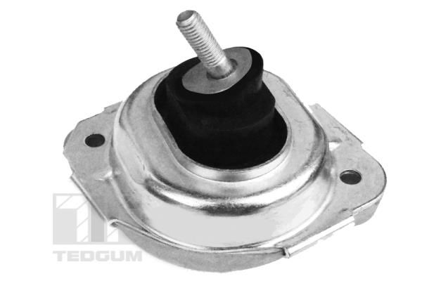 TEDGUM 00088550 Mounting, engine