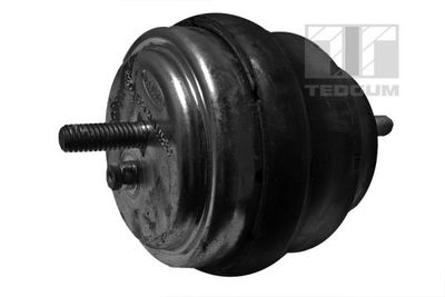 Mounting, engine TEDGUM 00089455