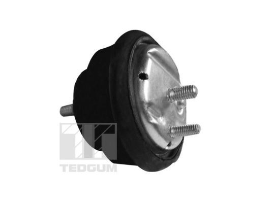 TEDGUM 00089778 Mounting, engine