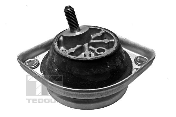 TEDGUM 00089801 Mounting, engine