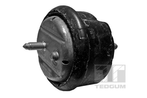 TEDGUM 00089803 Mounting, engine