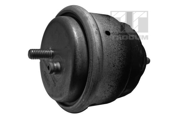 TEDGUM 00089811 Mounting, engine