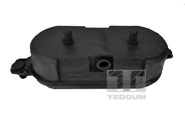 TEDGUM 00106415 Mounting, engine