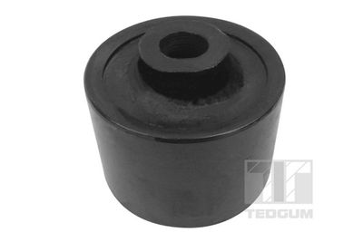 Mounting, control/trailing arm TEDGUM 00118113
