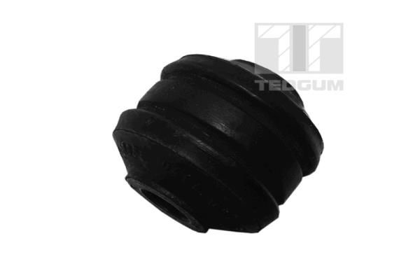 TEDGUM 00130682 Mounting, control/trailing arm