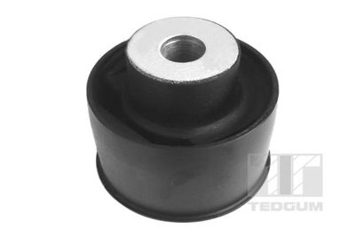 Mounting, control/trailing arm TEDGUM 00131739