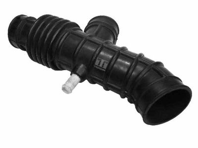 Intake Hose, air filter TEDGUM 00163120