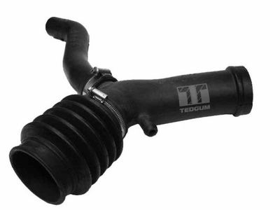 Intake Hose, air filter TEDGUM 00163127