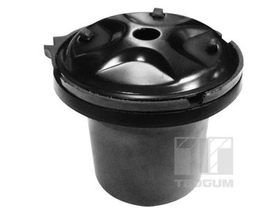 Spacer Sleeve, suspension strut support mount TEDGUM 00166117