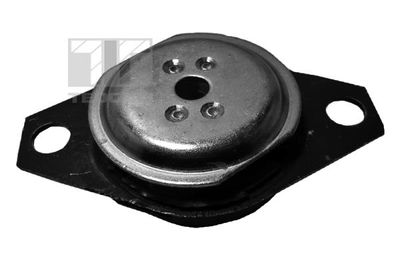 Mounting, engine TEDGUM 00210392
