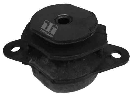TEDGUM 00212973 Mounting, engine