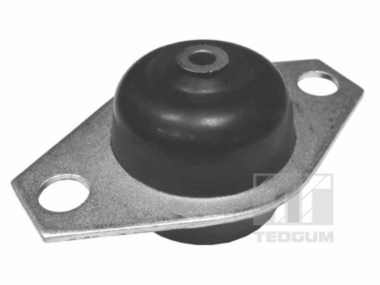TEDGUM 00215059 Mounting, engine