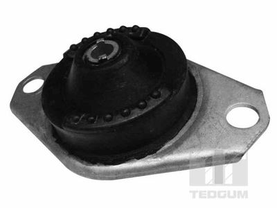 Mounting, engine TEDGUM 00215723