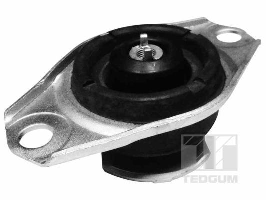 TEDGUM 00215996 Mounting, engine